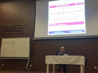 Prof. Gábor Hamza - Istanbul 18 March, 2016 Prof. Gábor Hamza - Istanbul 18 March, 2016
